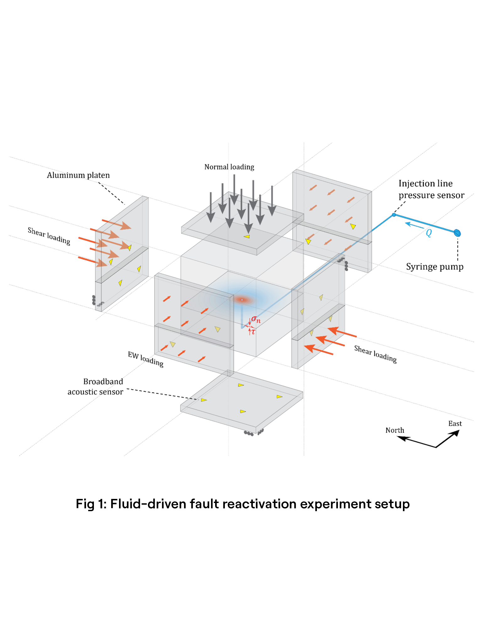 Fluid-Driven Fault Slip